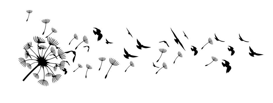 Deco voilier N°7